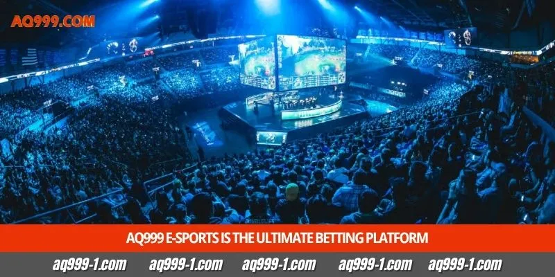 Aq999 e-Sports is the ultimate betting platform