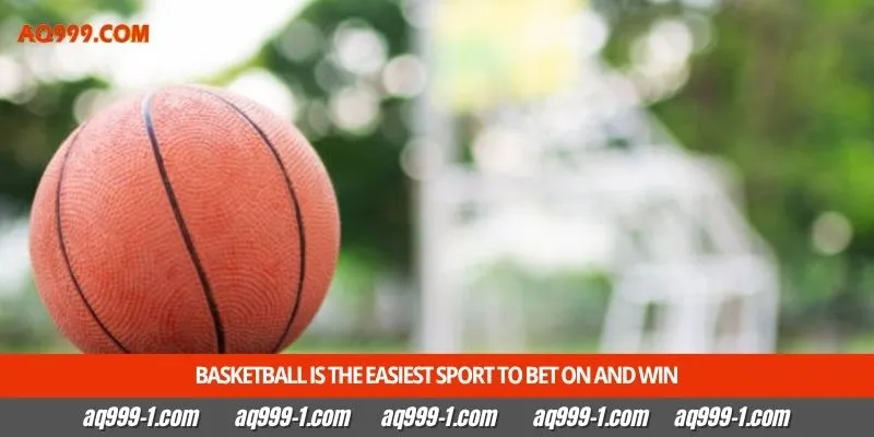 Basketball is the easiest sport to bet on and win