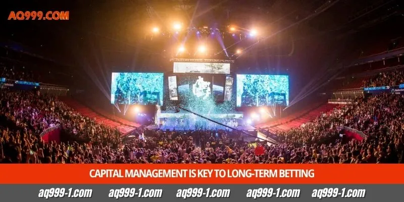 Capital management is key to long-term betting